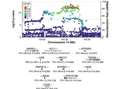Các nhà khoa học phát hiện 8 gene mới liên quan đến tâm thần phân liệt